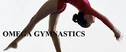 Omega Gymnastics Fayetteville summer camps